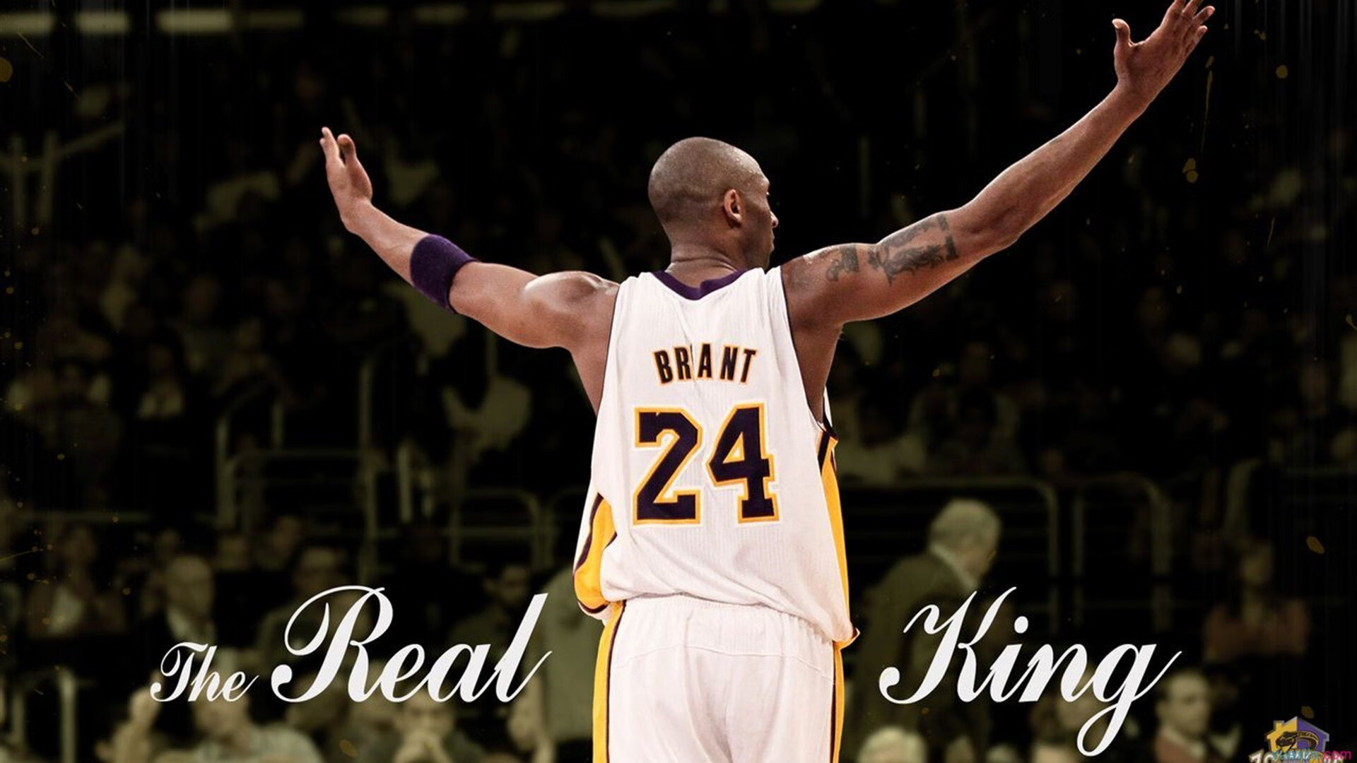 澳网险胜美网，梅德韦杰夫惊艳四座，一场定义时代的对决